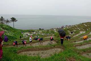 愛知県立安城東高等学校同窓会　碧海野会「達」