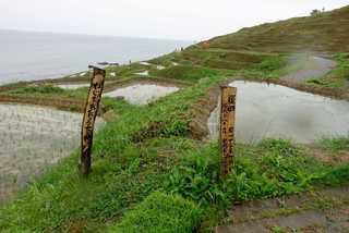 愛知県立安城東高等学校同窓会　碧海野会「達」