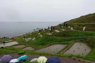 愛知県立安城東高等学校同窓会　碧海野会「達」