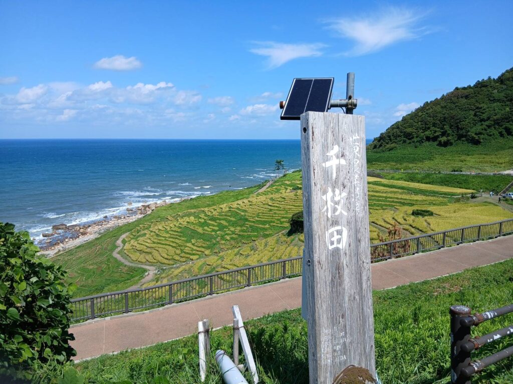 2026年　千枚田の草とり作業をしてきました|愛知県立安城東高等学校同窓会　碧海野会「達」